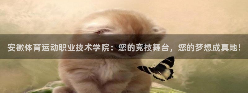 一竞技官网下载:安徽体育运动职业技术学院:您的竞技舞台,您的