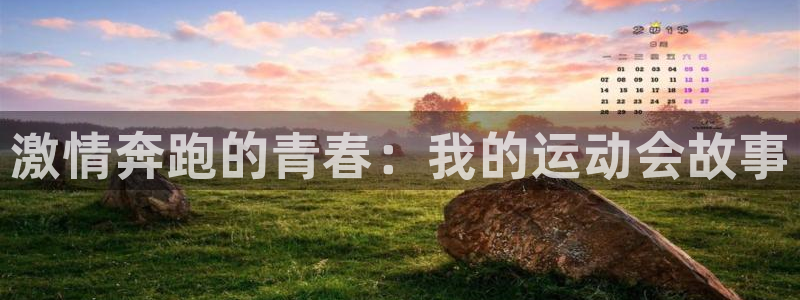 一竞技官网下载招商电话地址是多少:激情奔跑的青春:我的运动会