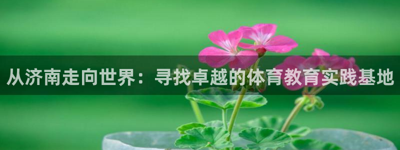 一竞技官网下载招商电话号码是多少啊:从济南走向世界:寻找卓越