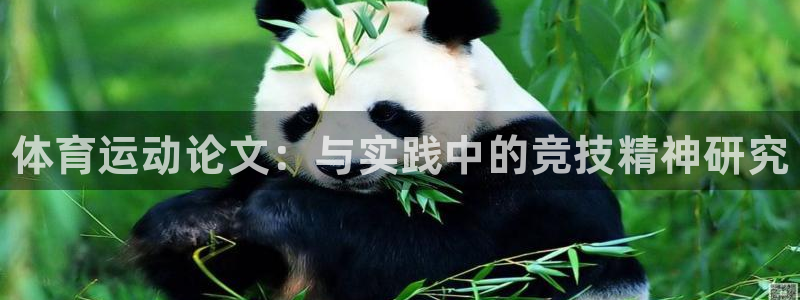 一竞技官网下载招商电话是多少啊:体育运动论文:与实践中的竞技