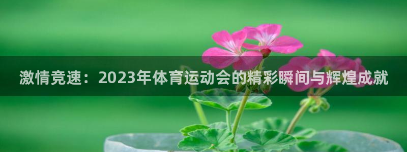 德国一竞技官方正版app集团:激情竞速:2023年体育运动会