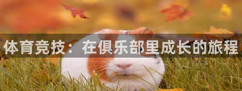 一竞技官网下载招商电话号码是多少:体育竞技:在俱乐部里成长的