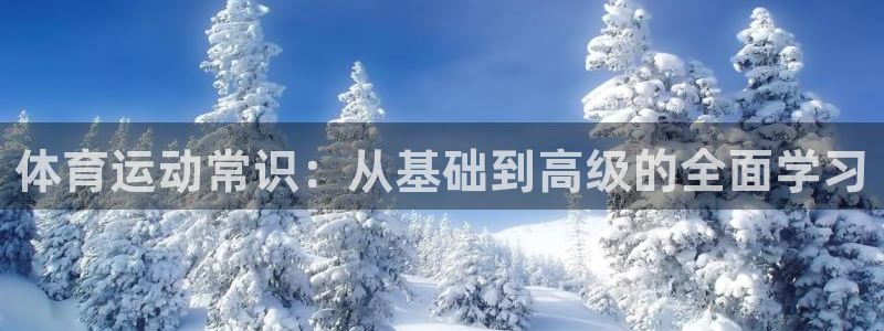 一竞技官方正版app集团E.ON:体育运动常识:从基础到高级