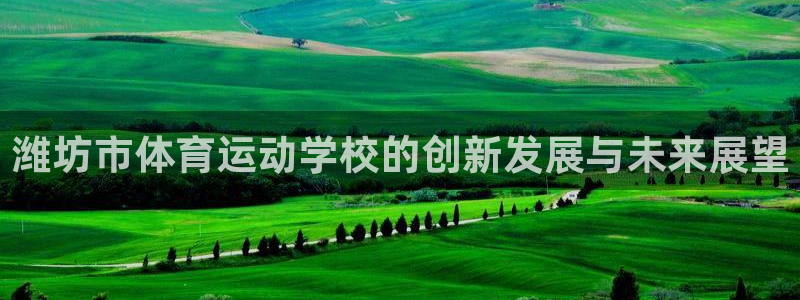 一竞技官方正版app科技:潍坊市体育运动学校的创新发展与未来