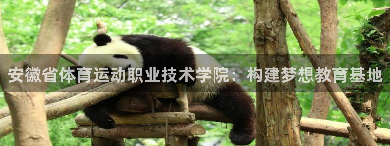 一竞技官网下载平台假的吗是真的吗:安徽省体育运动职业技术学院